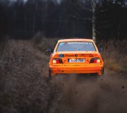 Čempionų piknikas