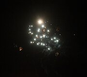 2015-ųjų sutikimas Panevėžio rajone