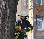 Gaisro vietoje