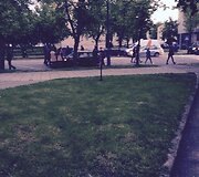 Avarijos vietoje
