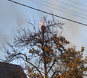 Gaisro vietoje