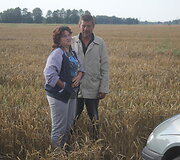 Avarija Panevėžio rajone
