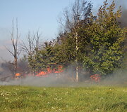 Gaisro vietoje