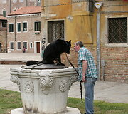 Venecija, Dialogas