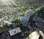 &Scaron;unų aik&scaron;telė Antakalnyje