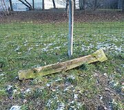 &Scaron;unų aik&scaron;telė Antakalnyje