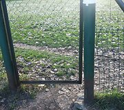 &Scaron;unų aik&scaron;telė Antakalnyje