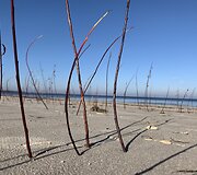 Nuotraukos, užfiksuotos telefonu &bdquo;iPhone XS Max&ldquo;