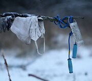 Gitanos &Scaron;iaulienės sodyba