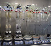 &bdquo;Hohenstein&ldquo; laboratorijoje