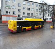 Rinkimai &Scaron;iauliuose