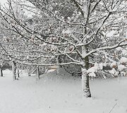 Per Lietuvą keliauja žiema
