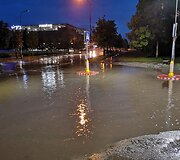 Liūtis &Scaron;iauliuose