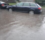 Liūtis &Scaron;iauliuose