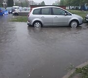 Liūtis &Scaron;iauliuose