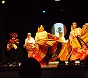 Vokalo mokytojos V.Bagdonavičiūtės akimirkos