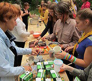 &Scaron;iaulių kra&scaron;to skautai