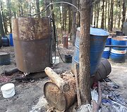 Barvų kaimo eglyne veikė naminės degtinės fabrikas
