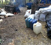 Barvų kaimo eglyne veikė naminės degtinės fabrikas