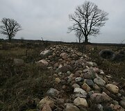 Ver&scaron;ių kaime atkastas milžini&scaron;kas akmuo