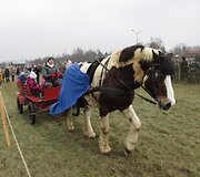 &Scaron;iauliuose prie Žaliūkių malūno sudeginta Morė