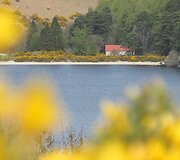 1200 kilometrų po Airijos gamtos bei kultūros stebuklus