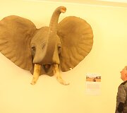 Žagarės dvare &ndash; trofėjų paroda su lapių medžioklės imitacija