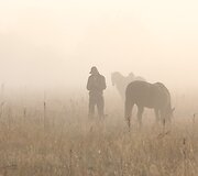 Žemaitukų žygis aplink Lietuvą