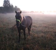 Žemaitukų žygis aplink Lietuvą