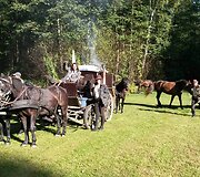Baigėsi 37 dienas trukęs žemaitukų žygis apie Lietuvą