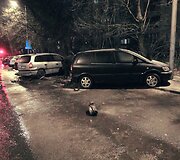 Avarijoje apgadinti 4 automobiliai, kaltininkas pasi&scaron;alino i&scaron; įvykio vietos