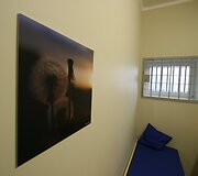 &Scaron;iauliuose naujai atidarytoje are&scaron;tinėje ant sienų kabo meniniai gamtos vaizdai