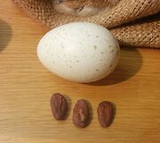 &Scaron;iaulių &scaron;okolado muziejuje - nežabotą tarpukario dizainerių fantaziją