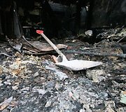 Jauna &scaron;eima po gaisro rugsėjo 1-ąją sutinka be namų