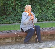 &Scaron;iaulius gimtadienio rytą pažadino akordeono garsai