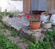 Skautai nuspalvino gyvenimą keturioms nepasiturinčioms &scaron;eimoms