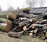 Ruzgų mokykla