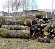 Ruzgų mokykla