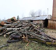 Ruzgų mokykla
