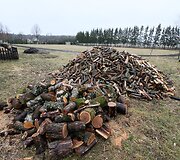 Ruzgų mokykla