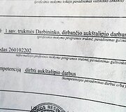 Darbas &Scaron;vedijoje: invalidai tampa auk&scaron;talipiais, lietuviai nesumoka lietuviams