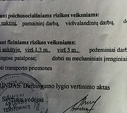 Darbas &Scaron;vedijoje: invalidai tampa auk&scaron;talipiais, lietuviai nesumoka lietuviams