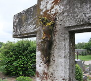 Kalnelio piliakalnis