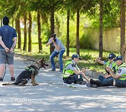 Akcijos &bdquo;Atsikratyk stereotipų&ldquo; fotosesijos kadras