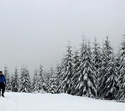 Keliautojų klubo &bdquo;Kertam kampą&ldquo; žygis į Karpatus