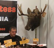 Verslo pasiekimų paroda &bdquo;&Scaron;iauliai 2017&ldquo;