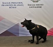 Verslo pasiekimų paroda &bdquo;&Scaron;iauliai 2017&ldquo;