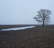 Saulės mū&scaron;io memorialas