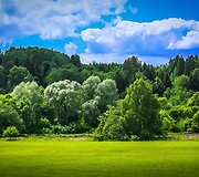 Pareigūno M.Jackevičiaus fotografija