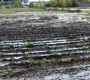 Niekieno sklypas užtvindė kaimą ir demaskavo biurokratų bejėgystę